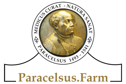 logo-neu-paracelsus-gold-schrift-600x400